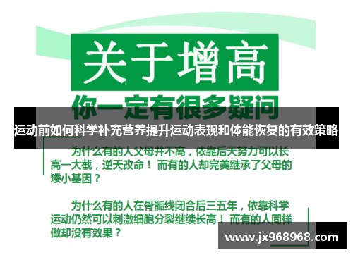 运动前如何科学补充营养提升运动表现和体能恢复的有效策略