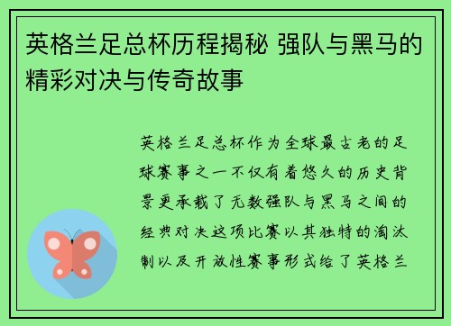 英格兰足总杯历程揭秘 强队与黑马的精彩对决与传奇故事